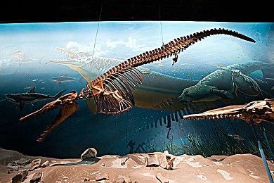 《崩坏：星穹铁道》预下载开启 4月26日多平台公测